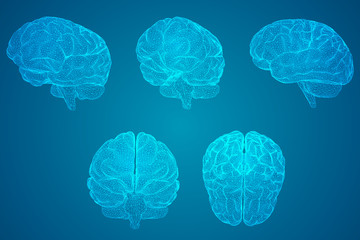 晒小奶猫朋友圈文案搞笑集合四十条