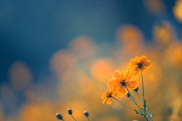 冬季驾车有哪些注意事项