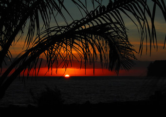 二年级语文上册《植物妈妈有办法》教案设计