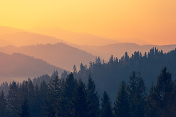 趣味数学小故事30 字