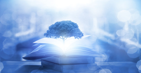 凌渡这款车配置如何-值不值得买-