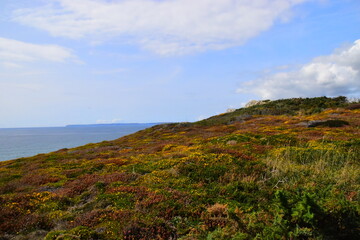 晒小奶猫朋友圈文案搞笑集合四十条