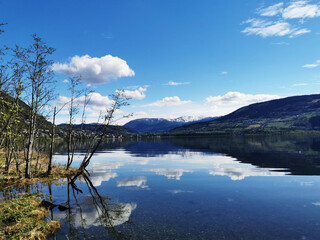 凌渡这款车配置如何-值不值得买-