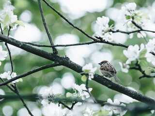 北京二手电动三轮市场在哪里
