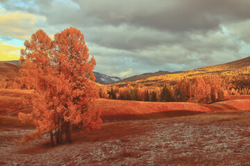 趣味数学小故事30 字