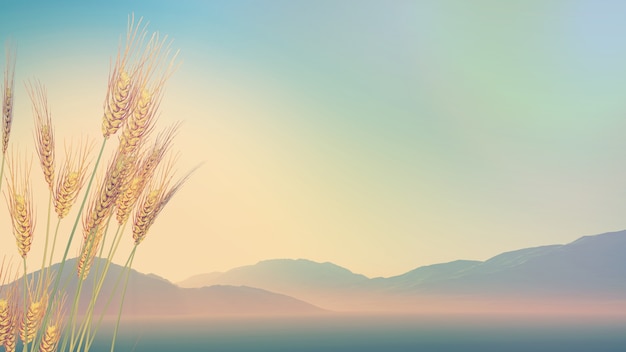 二年级语文上册《植物妈妈有办法》教案设计