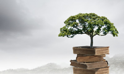 三字经到底背哪个版本