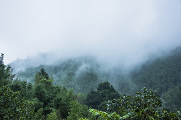 保时捷所有车型名字